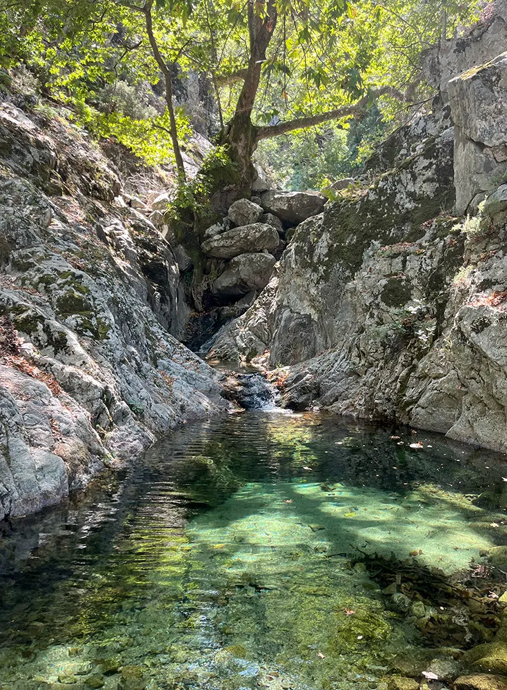 A sunlit grove in Samothraki
